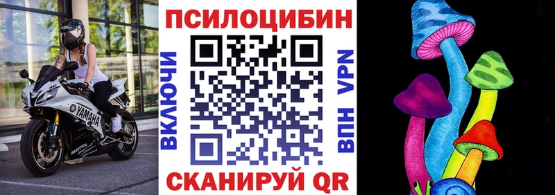 Псилоцибиновые грибы мицелий где купить наркоту Уржум